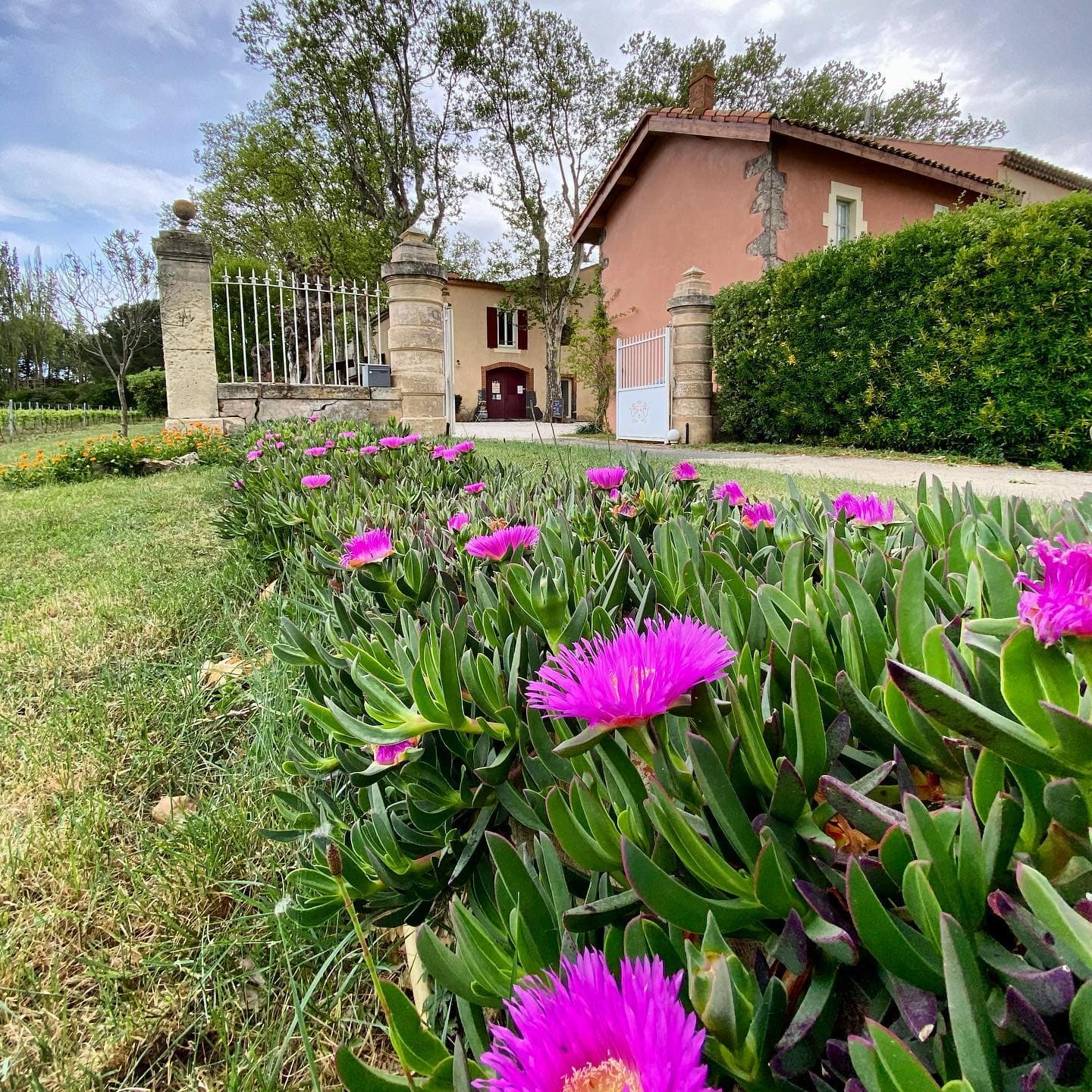 Domaine de Saint-Pierre
