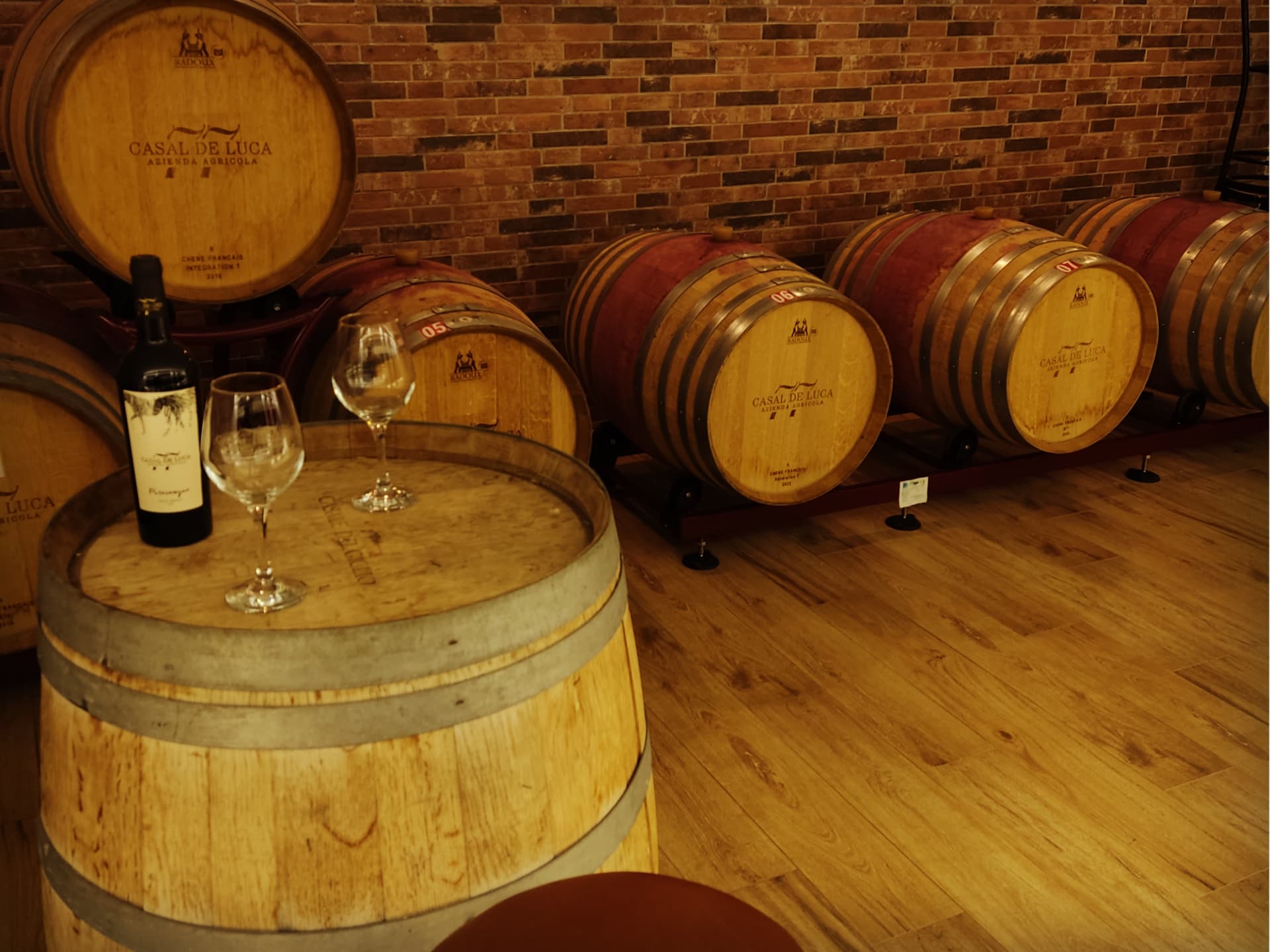 Degustazione vini nella bottaia di Casal De Luca
