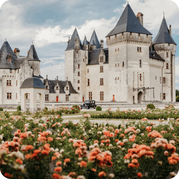 Loire-dalen-chateau-moncontour-chenin-blanc