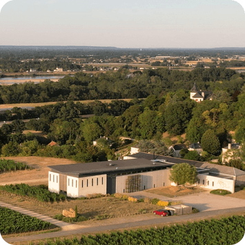Loire-dalen-domaine-de-rocheville-vineri
