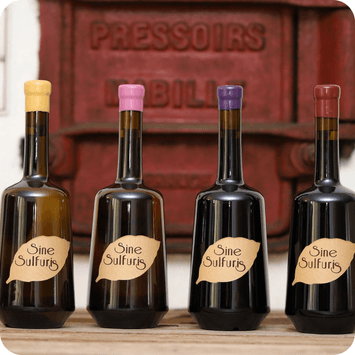 Loire-dalen-domaine-des-pierresttes-chenin-blanc