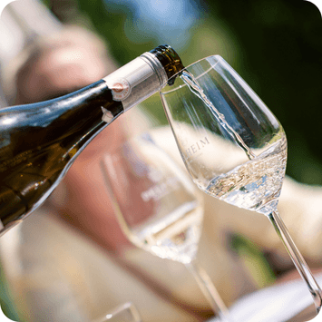 Sydafrika-delheim-vineri-chenin-blanc