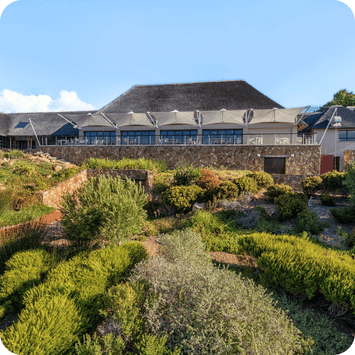 Sydafrika-glen-carlou-vineyards