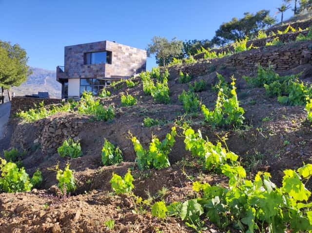 Bodegas Bentomiz