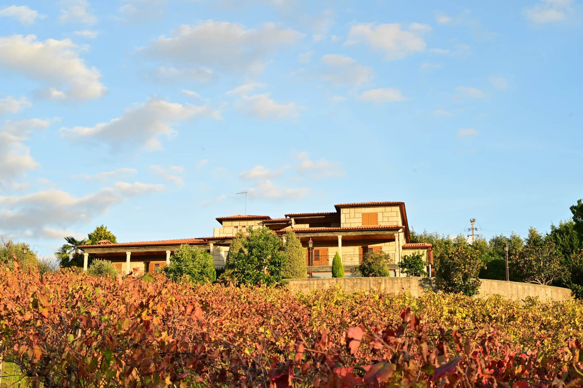 Sapateiro Boutique Winery