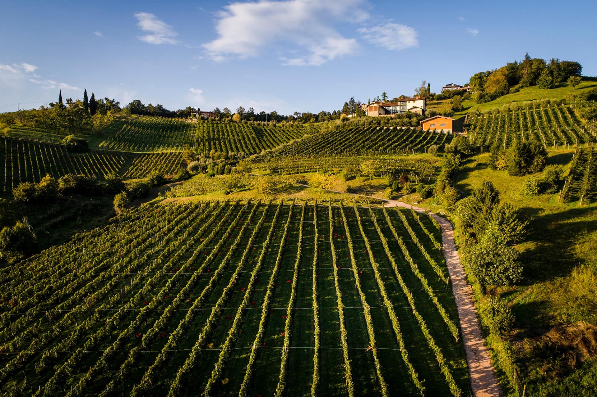 Il Cipresso Winery