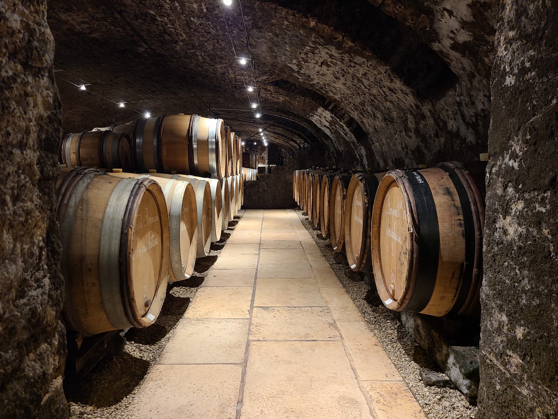 Wine tasting in the vaulted cellar from the 17th century at Domaine Coste-Caumartin