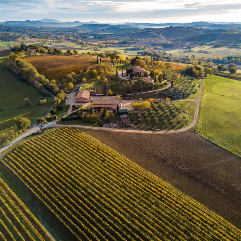 Tenuta di Tavignano Winery