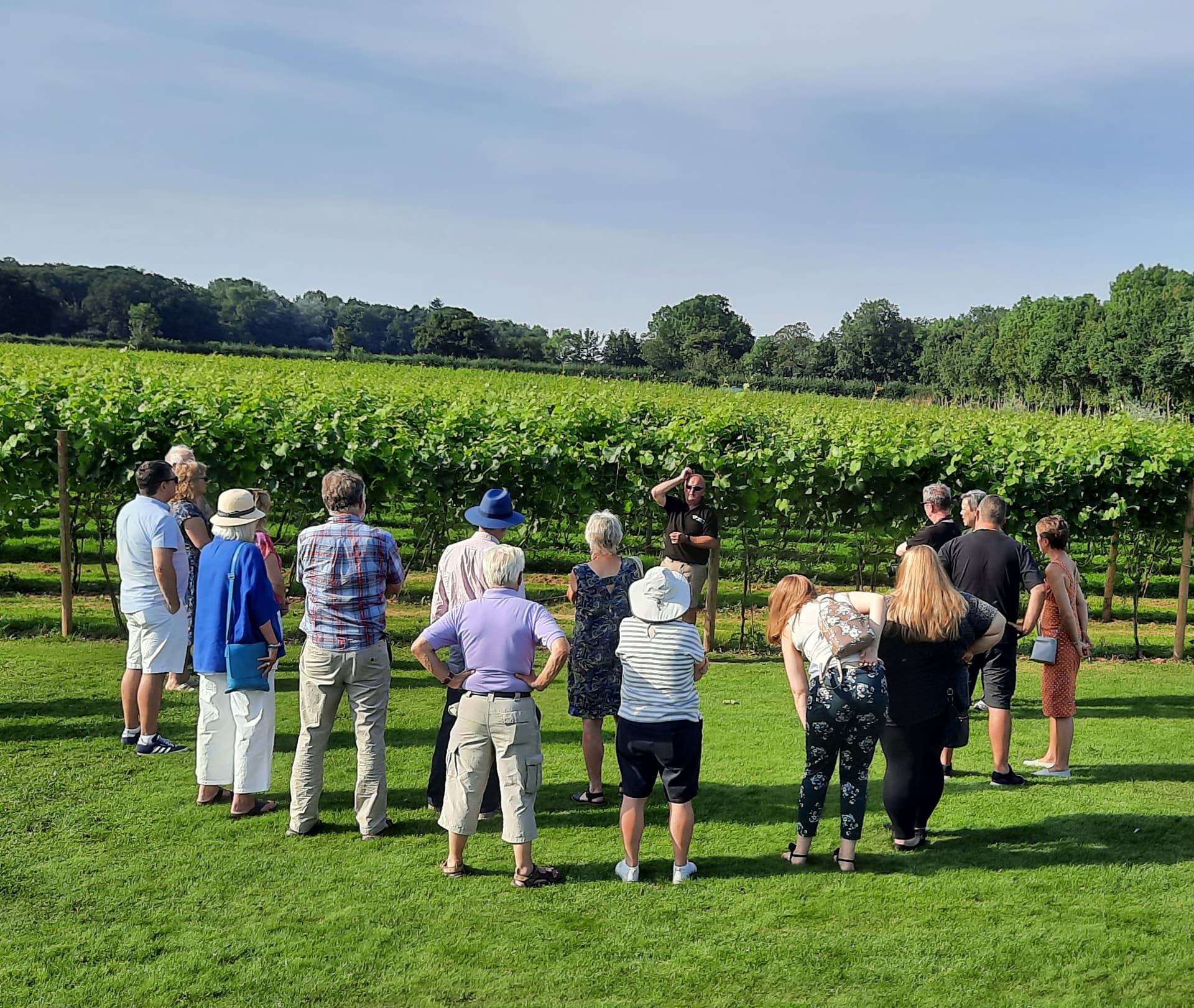 Weinbergführung und Weinprobe