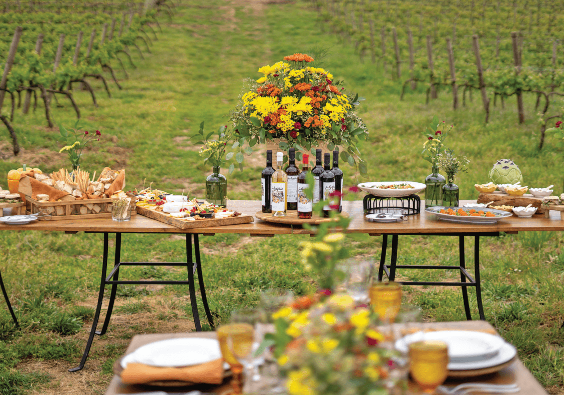 Vineyard Visit, Cas’Amaro, and Wine Tasting