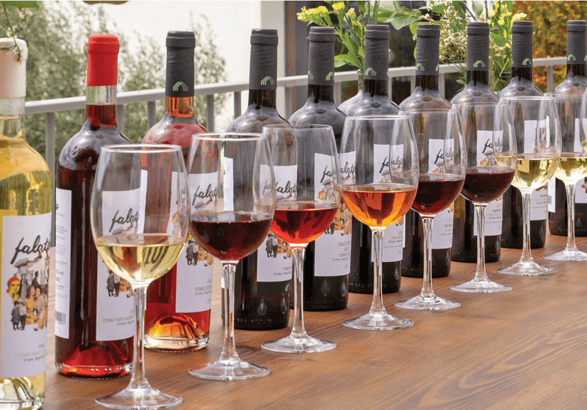 Winery Visit and Premium Wine Tasting