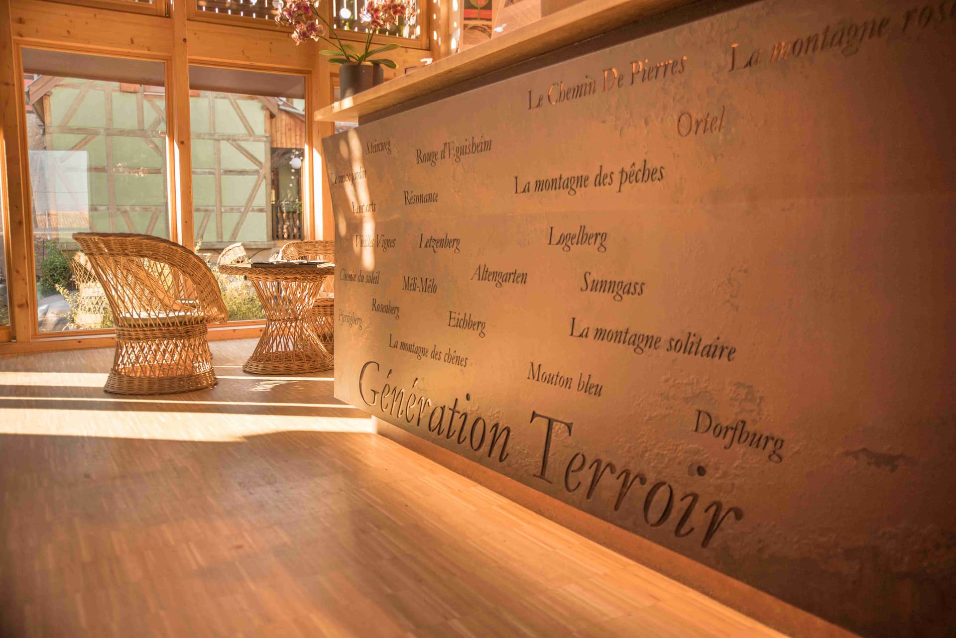 Domaine Mann - Vignoble Des 3 Terres foto 3