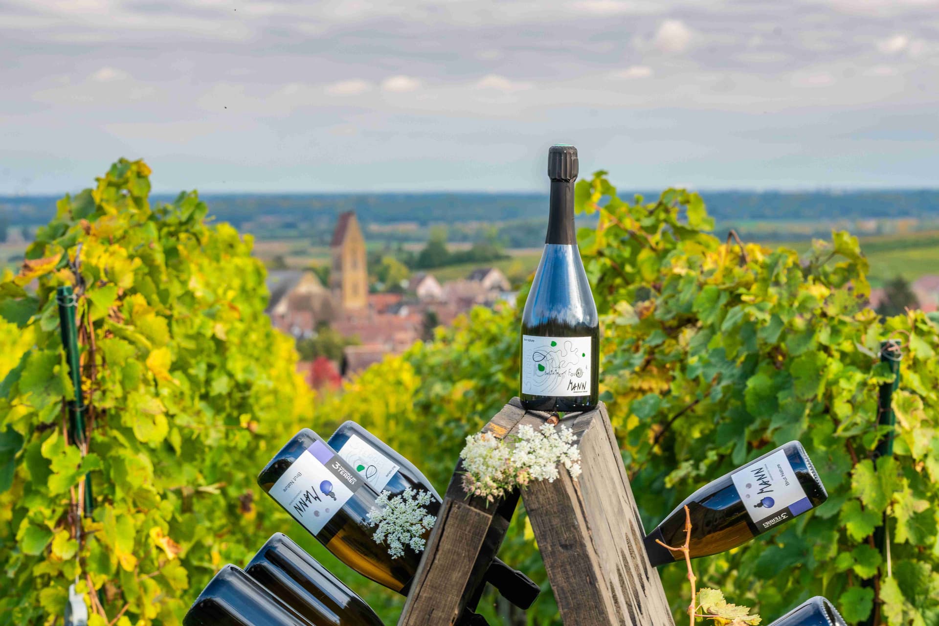 Domaine Mann - Vignoble Des 3 Terres foto 5