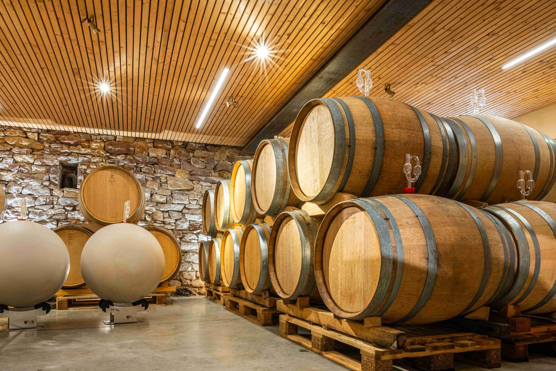 Domaine Mann - Vignoble Des 3 Terres foto 2