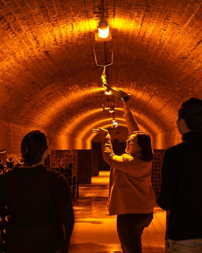 Gourmet-Erlebnis: Tour, Verkostung & Champagner-Mittagessen