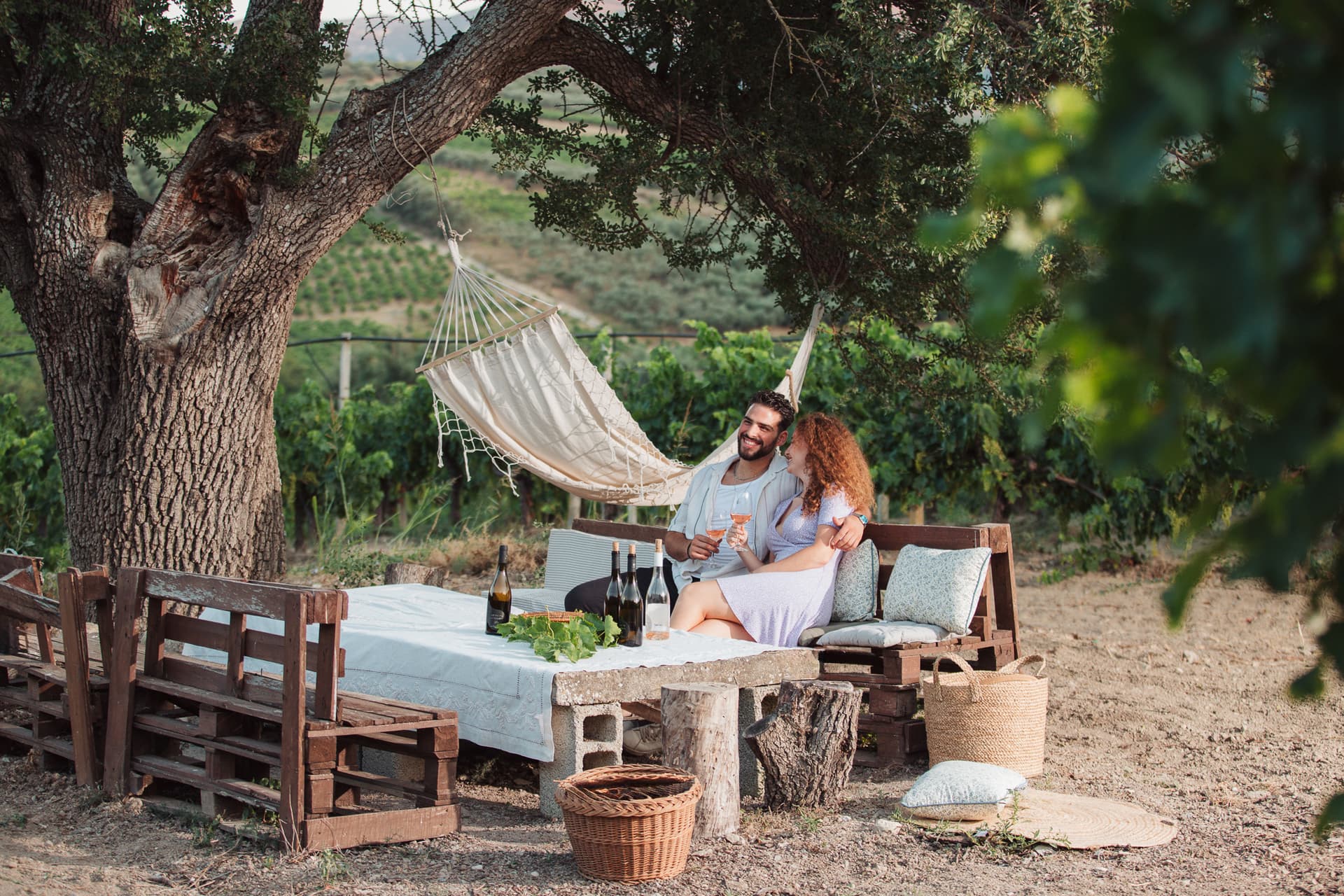 Excursão pelas vinhas perto de Heraklion, Creta