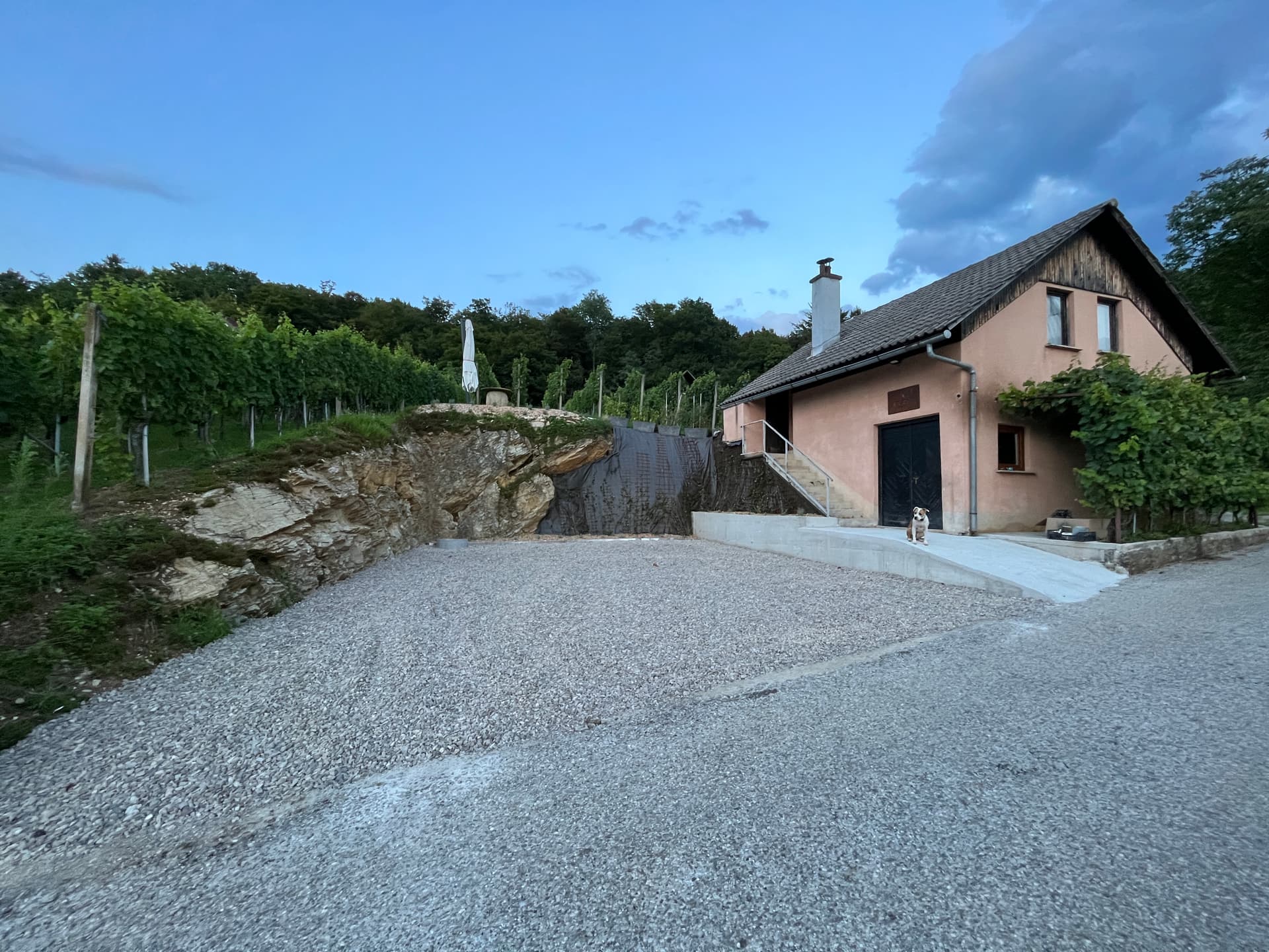 Arret Wines foto 2
