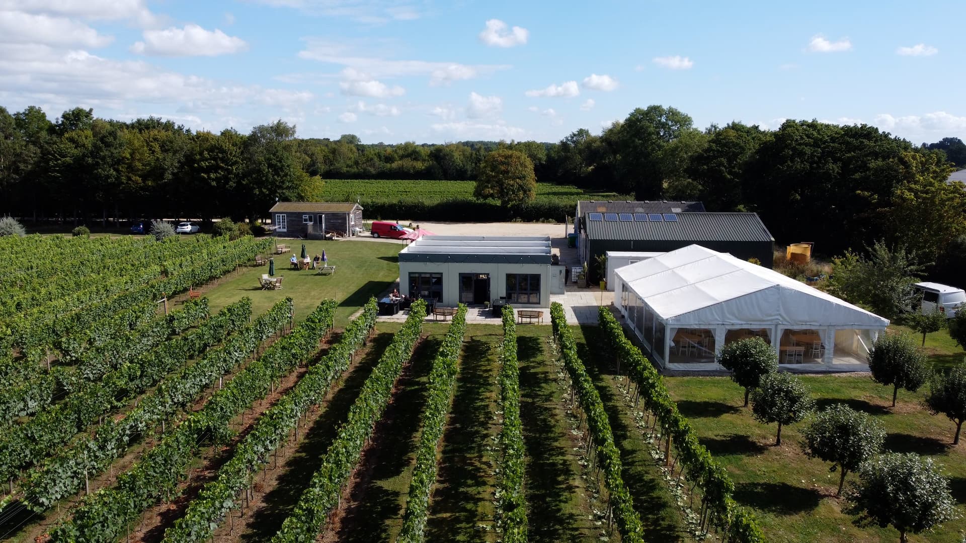 Visite du vignoble et dégustation de vin