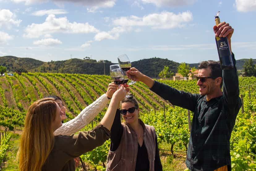 Excursão de degustação de vinhos para grupos pequenos saindo de Albufeira