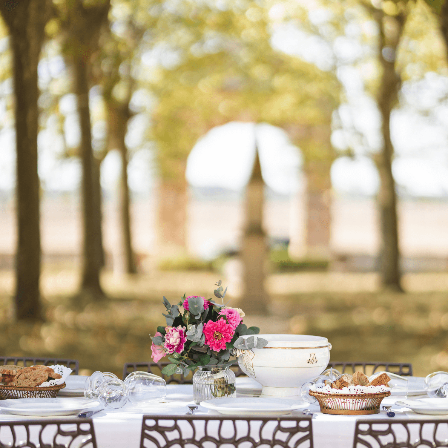 Picknick im Weinberg von Château Loudenne