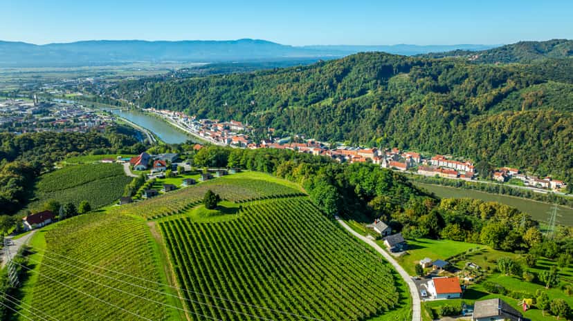 Verkostung zwischen den Weinbergen von Kunej