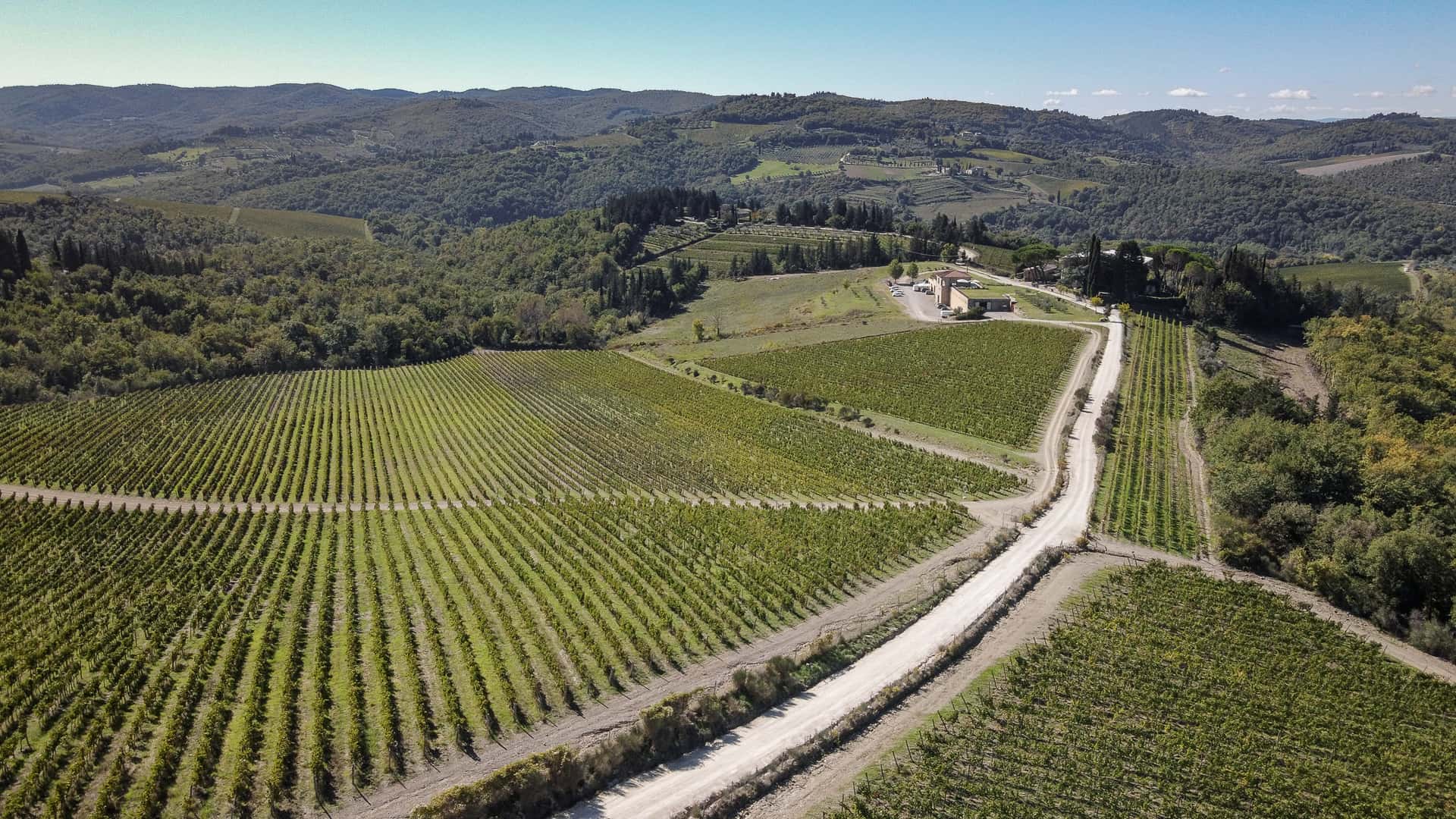 Wine Tour "Asiram"