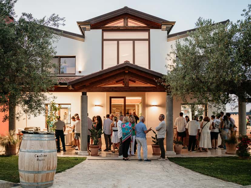 Cantine Mucci: A Legacy of Italian Winemaking