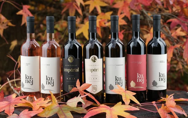 KUNEJ Wine & Chocolate