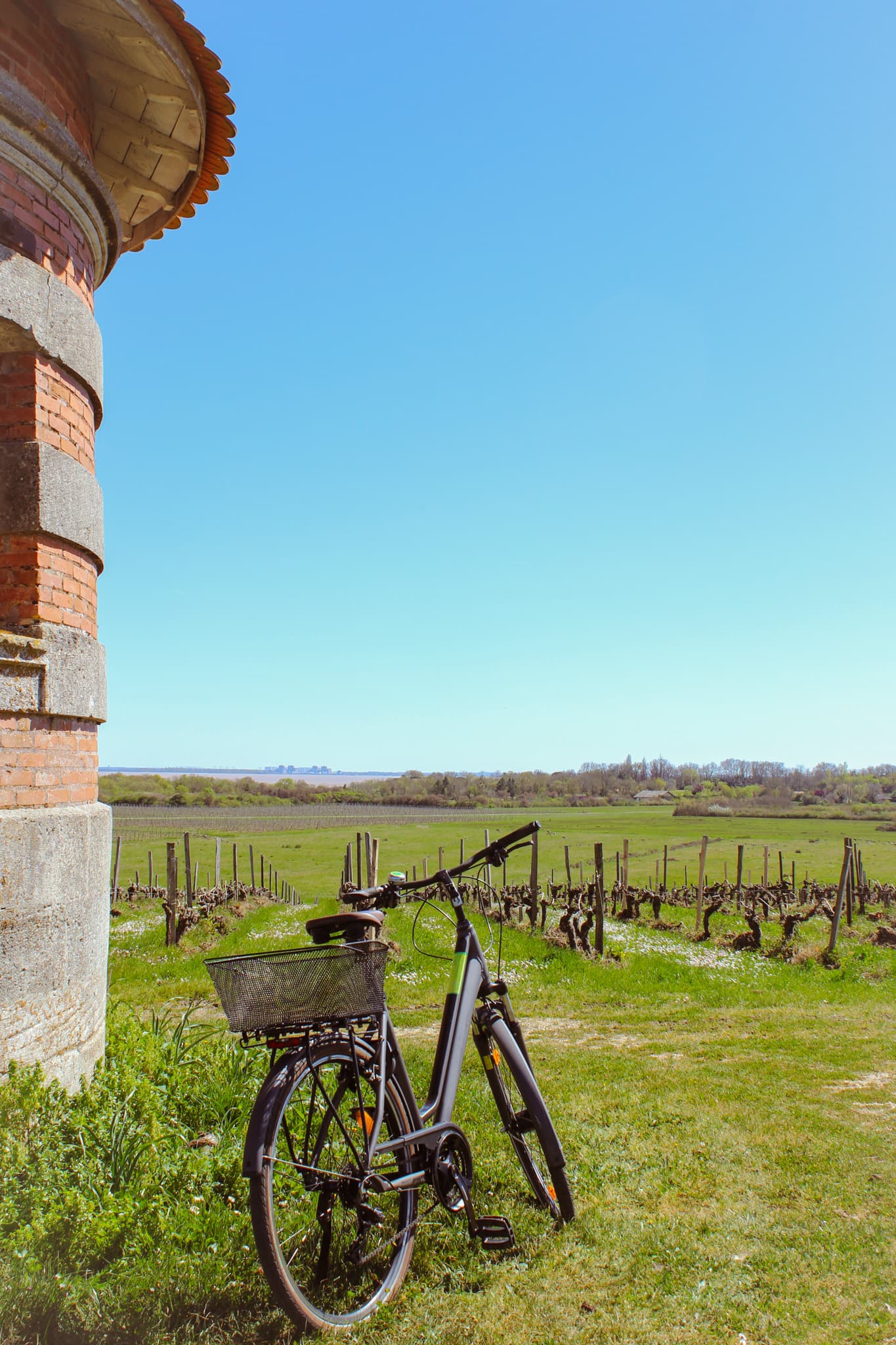 Wein und Fahrrad im Château Loudenne