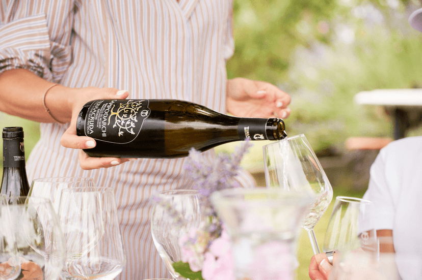 Wine Tasting and Tour at Cantina Terracruda
