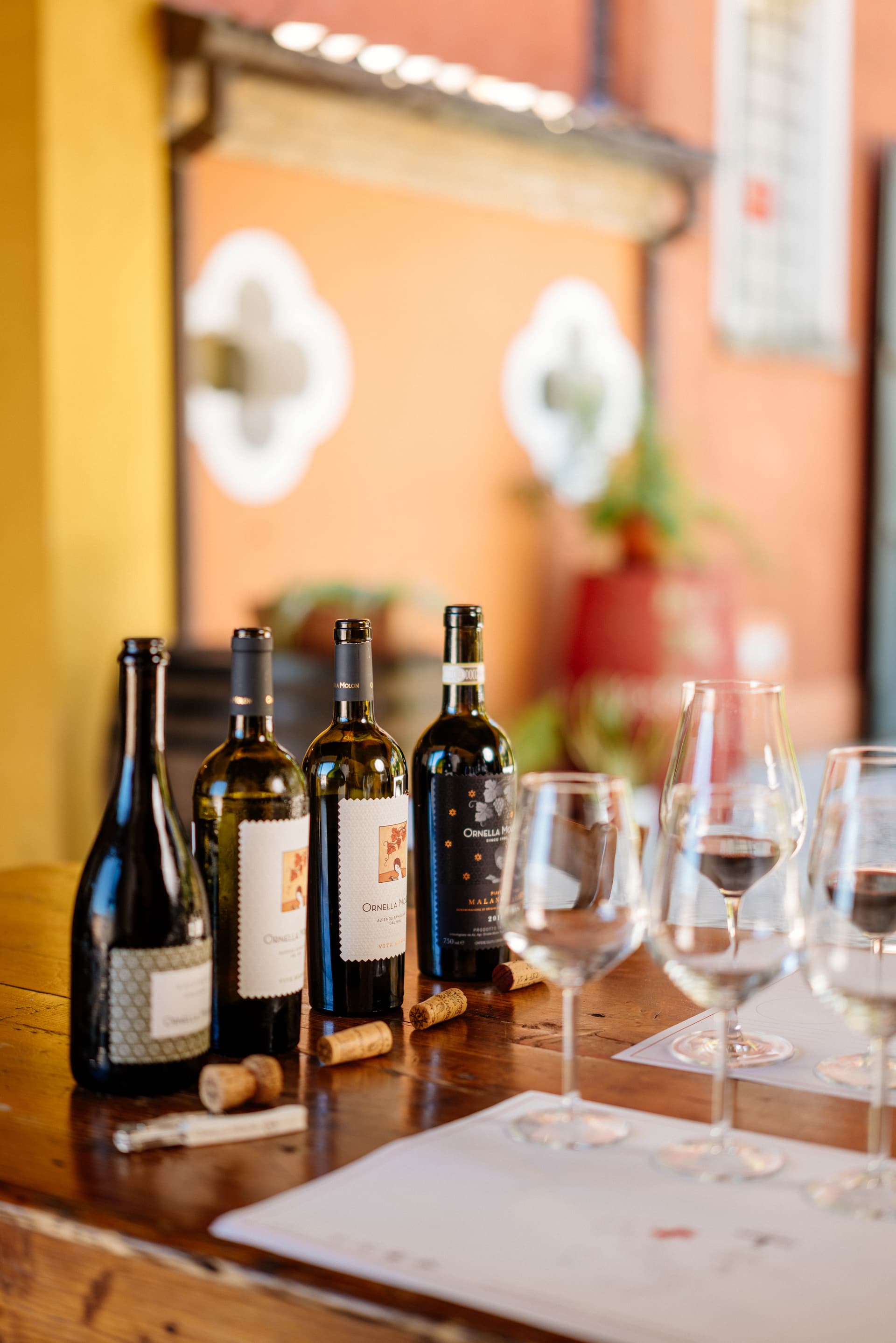 À la découverte des vins de Piave