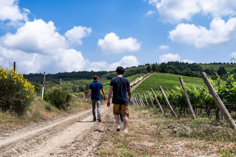 Experiencia en el viñedo