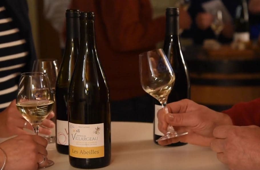 Introduzione alla degustazione del vino