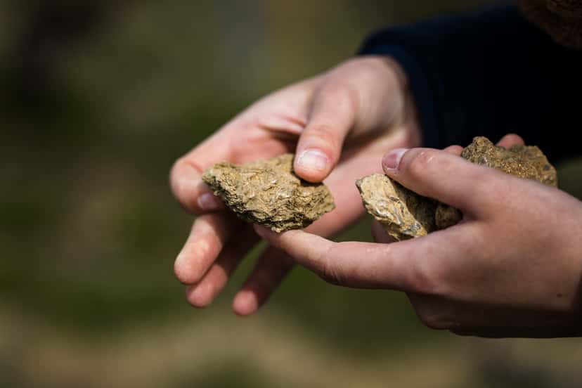Alla scoperta dei nostri terroir