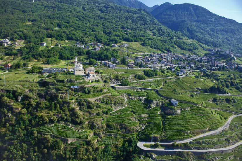 Entdecken Sie das Veltlin | Casa Vinicola Pietro Nera / Azienda Agricola Caven