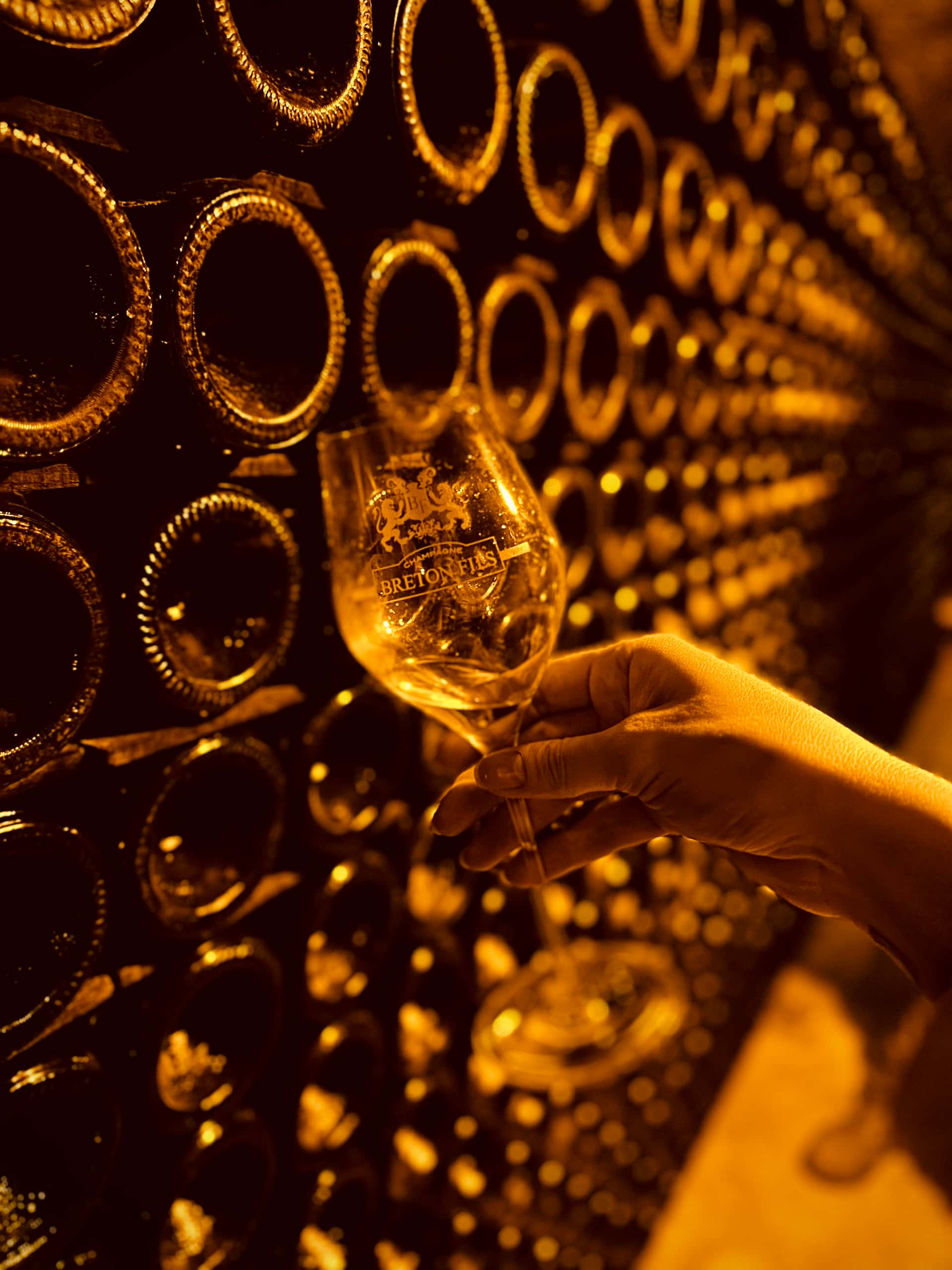 Degustazione di vini e tour allo Champagne Breton Fils