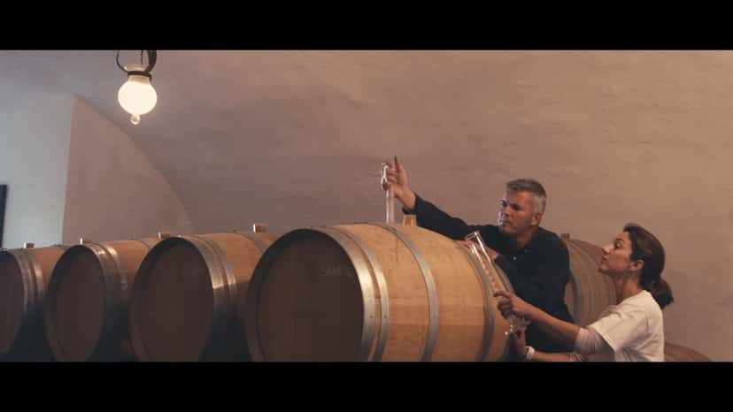 Explorar todas as provas de vinho no Orvieto Clássico