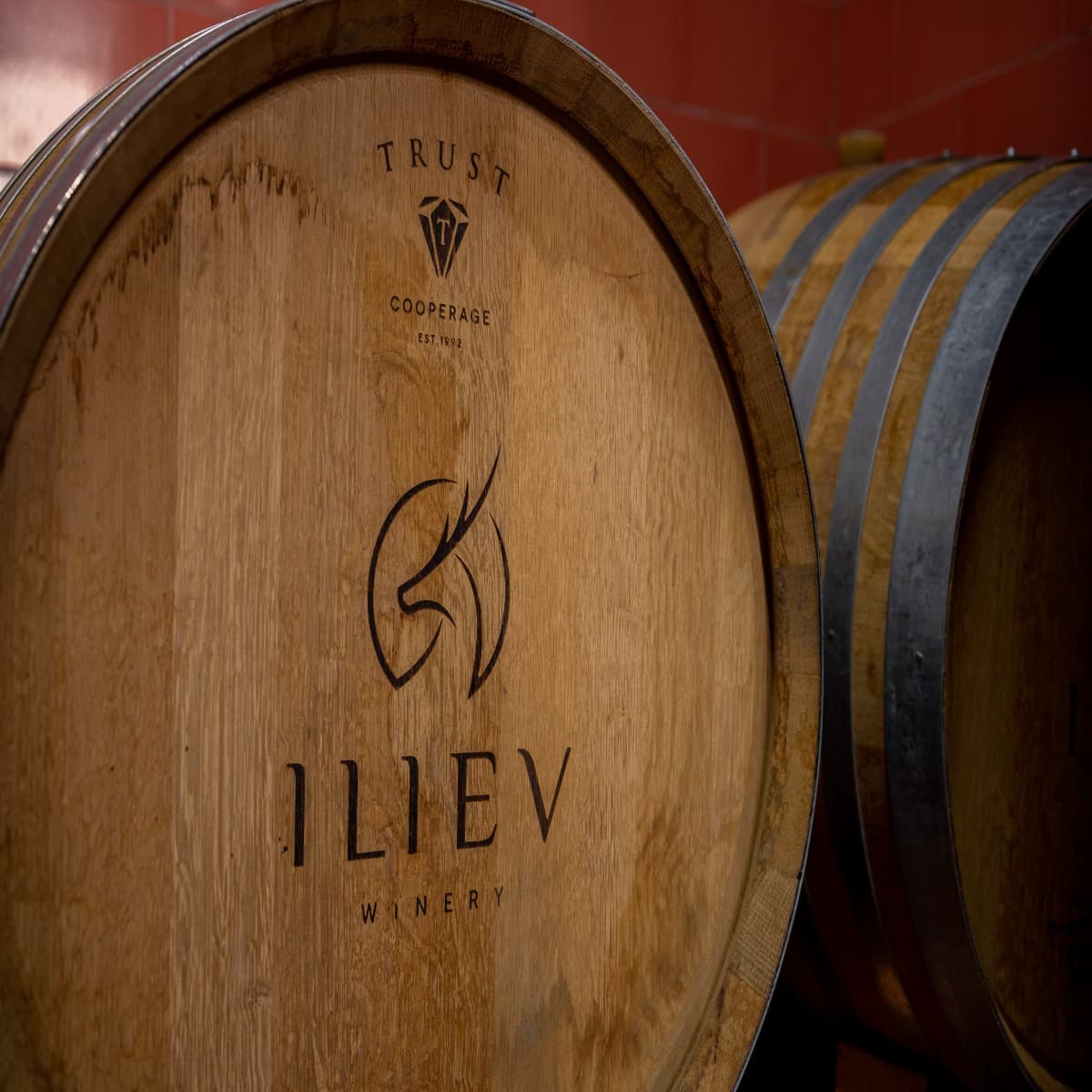 Degustação de vinhos, Macedônia do Norte, Vinícola Iliev