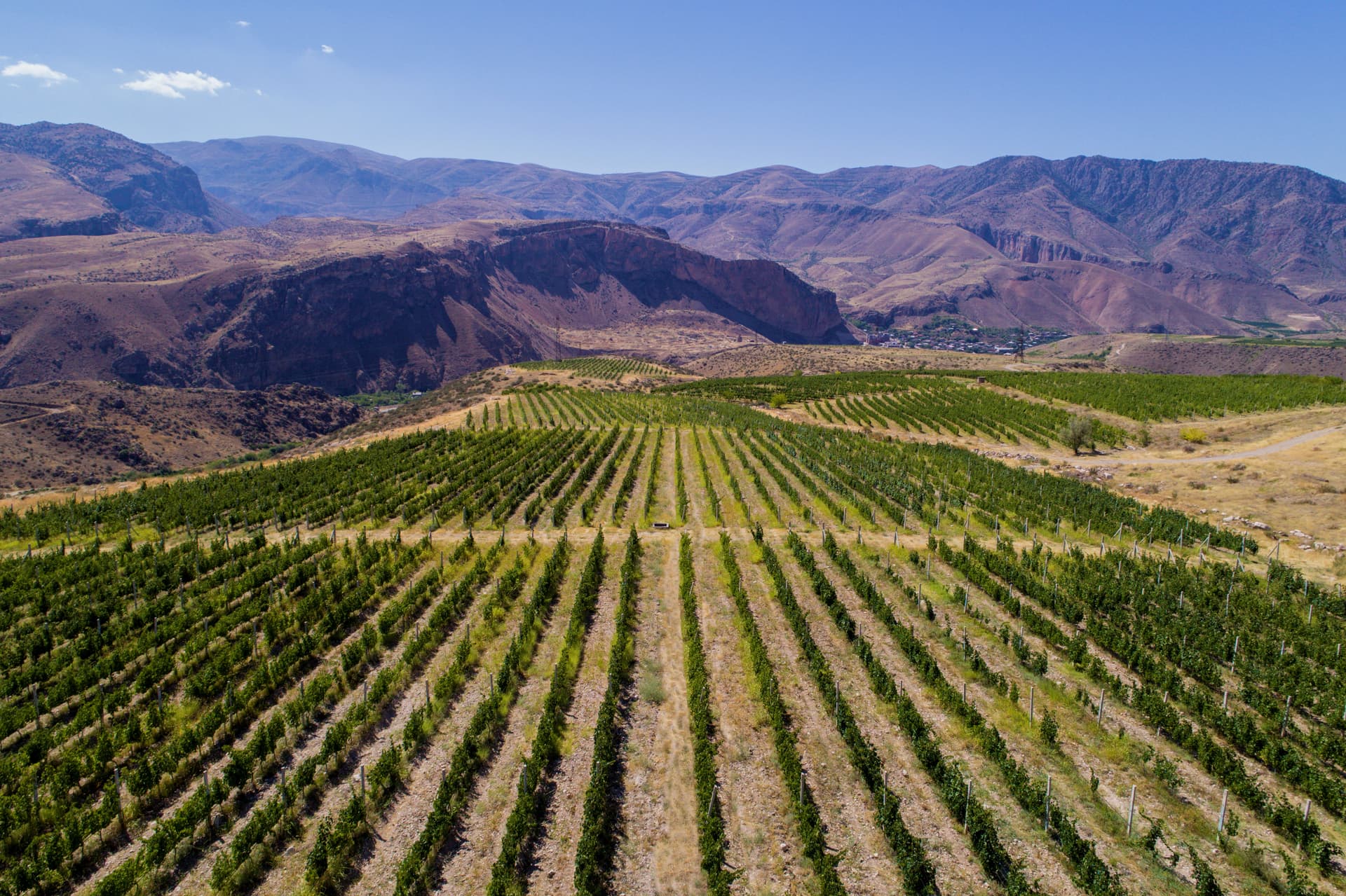 HIN ARENI Winery