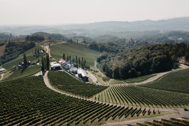 Weingut Tschermonegg GmbH