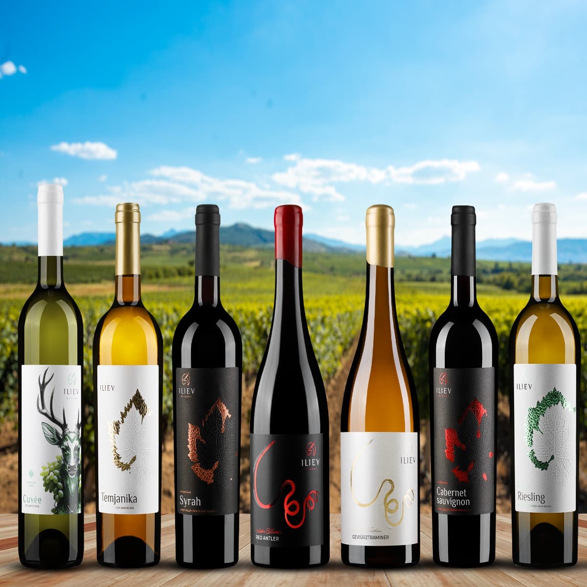 Iliev Winery / Винарија Илиев