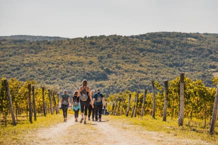 Istria Wine & Walk