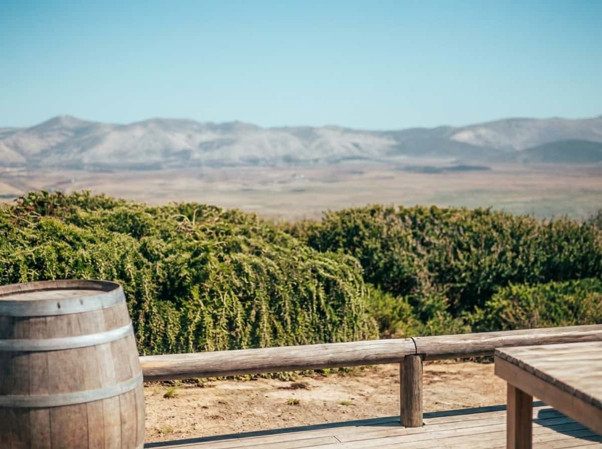 Fête du vin