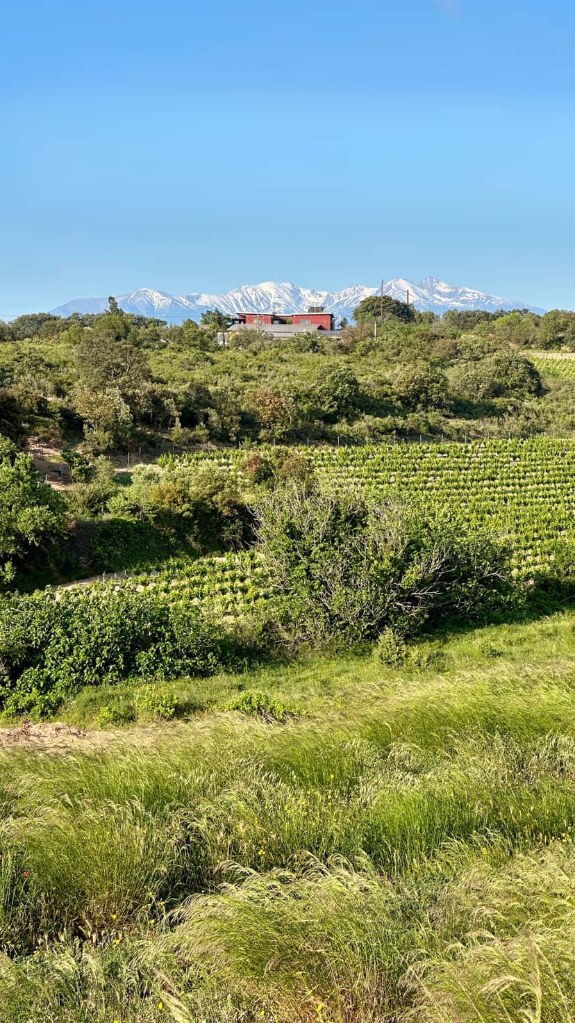Domaine Olivier Pithon