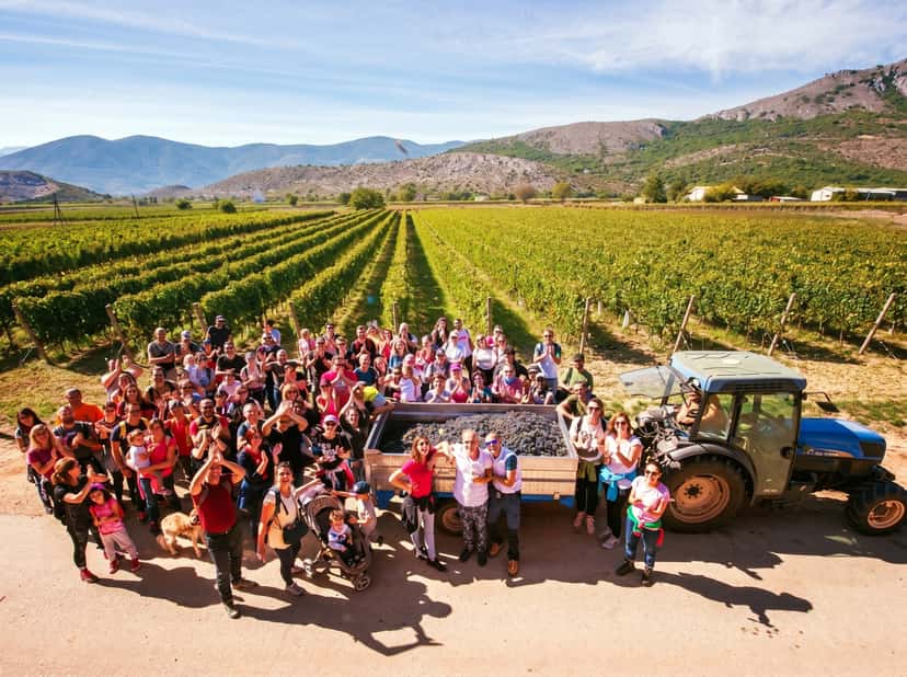 Explorar todos os festivais de vinho nos Abruzos