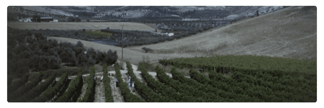 Fragospito Winery