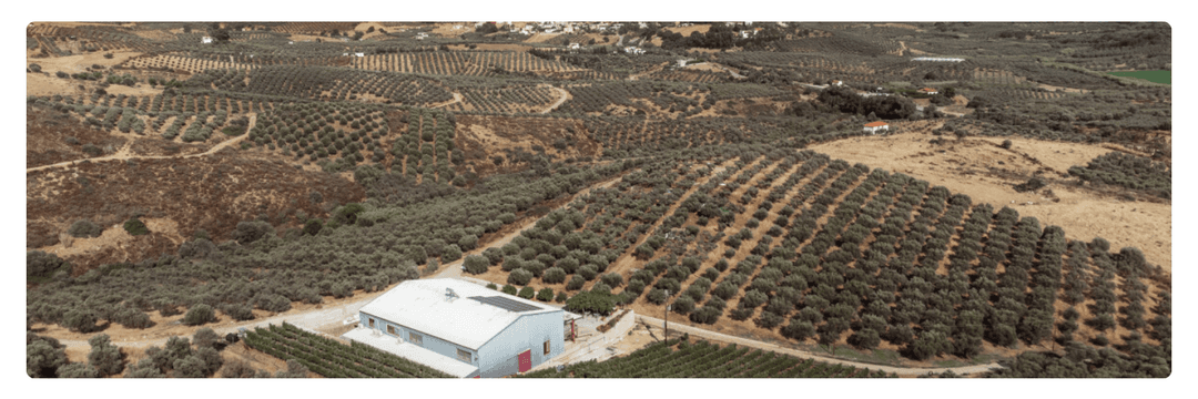 Klados Winery