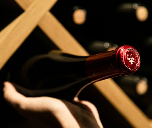 Tradition and Innovation