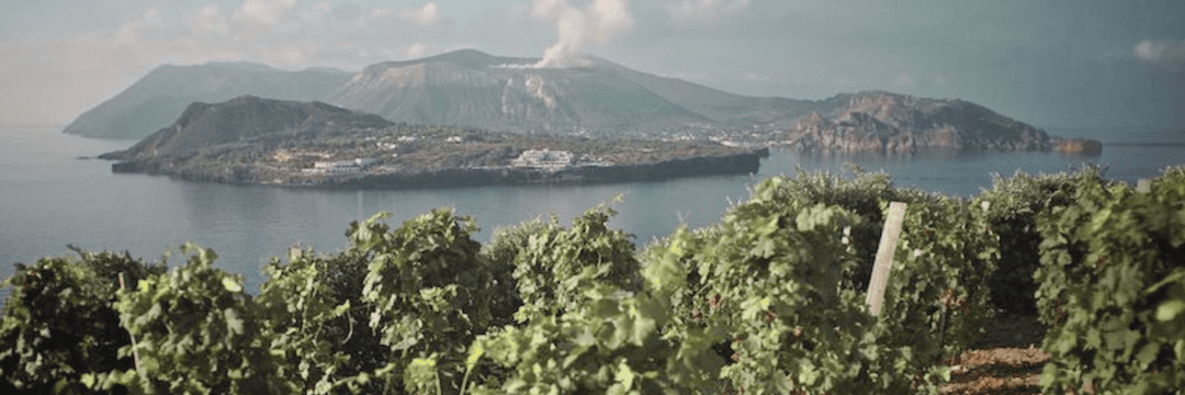 Sicily Vineards