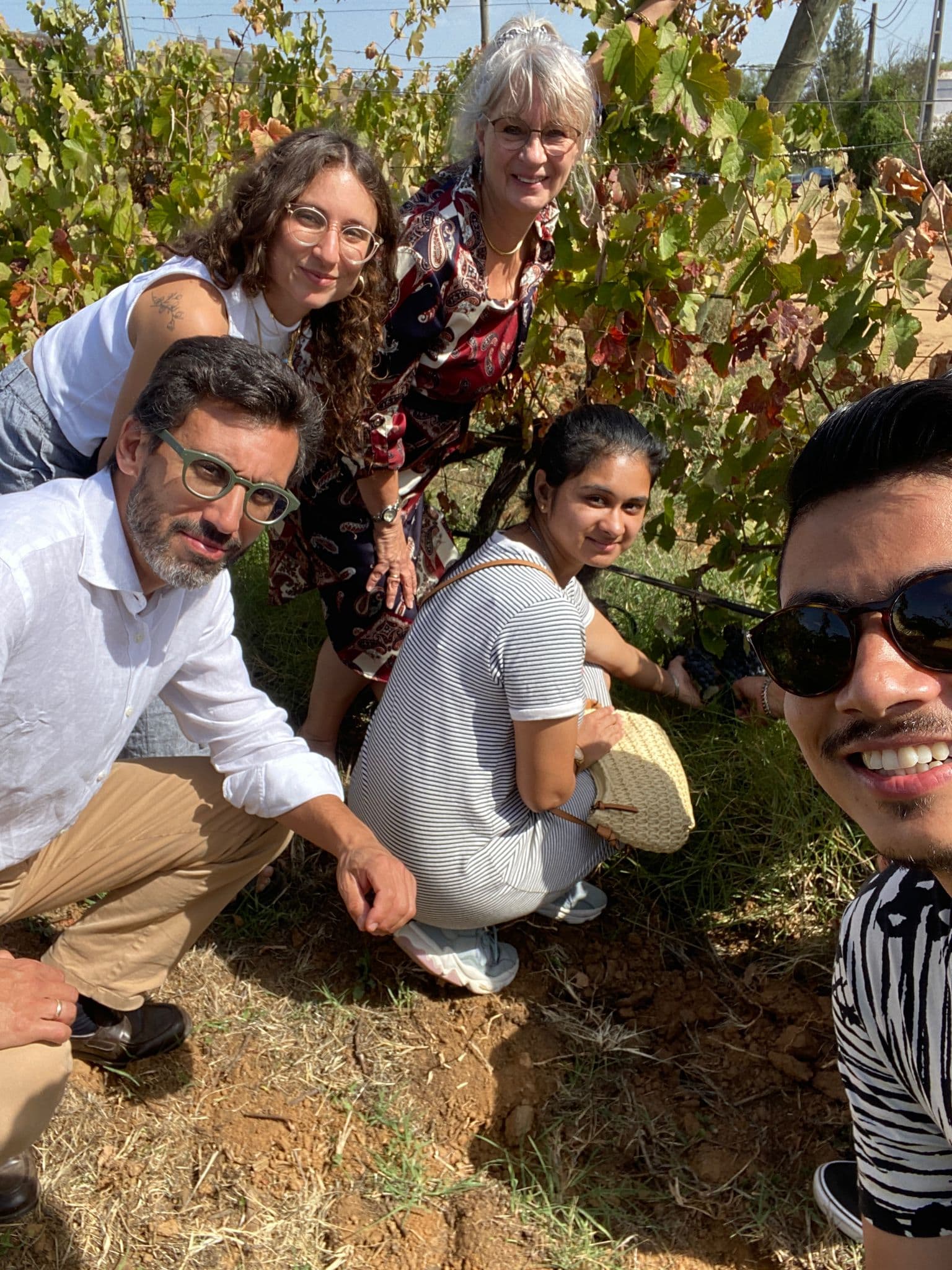 Plansel International Wine School